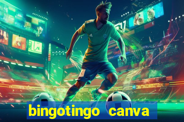 bingotingo canva pro gratis